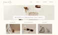 develop next js website using tailwind CSS