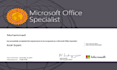 be your microsoft excel expert to solve excel assignments projects and problems