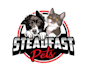design a professional modern  pet logo