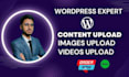 do wordpress data entry, content upload, and product listing on your website