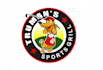 design high quality sports logo within 16 hours