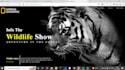 provide you best web design in less time