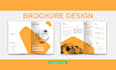 design business brochures, profiles and brand identity design