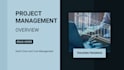 provide project management services