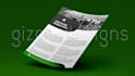 create stylish business flyer design