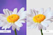 photoshop background removal amazon product remove