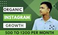 do instagram marketing, manage, grow and promote your page
