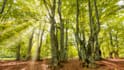 find you 4k royalty free photos