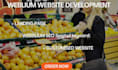 design your weblium website and your weblium landing page