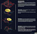 create architectural mapping, site analysis and proposal