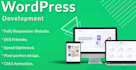 create a professional and aesthetically pleasing website