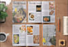 make magazine catalog and layout book with adobe indesign