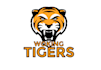 design high quality tiger logo in high definition