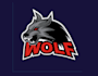 design high quality wolf logo in high definition