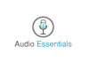 do awesome excellent famous audio microphone music logo in 1 day