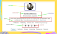 do complete monthly SEO service with linkbuilding