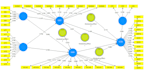do data analysis of pls SEM model in smartpls and adanco