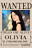 draw an anime character on the one piece original poster for you, valentine gift