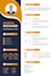 design, write or edit professional resume or CV template