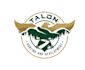 do make an modern custom eagle logo