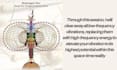 raise your vibration frequency