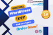 create wordpress blog website, redesign wordpress website development