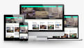 design a professional wordpress website for your business