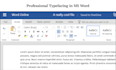 provide professional services for ms office suit