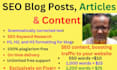 write SEO blog posts, articles, and content for any website