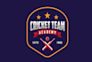 design modern cricket logo