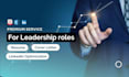 write a director, CEO executive CV, resume, linkedin profile