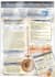 create cheat sheets infographic designs