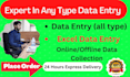 do fastest excel data entry, web research, copy paste,