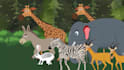 do amazing animal cartoon animation for youtube