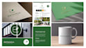 design a cohesive logo system with color palette