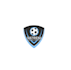 do professional attractive smart football training academy logo