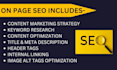 onpage SEO service and technical optimization of the wordpress website