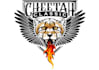 design wonderful cheetah logo