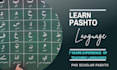 teach pashto and urdu languages professionally
