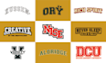 design awesome baseball or varsity style logo for you