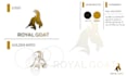 create perfect minimal logo with golden ratio and grids