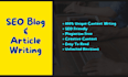 do SEO article writing and blog post writing