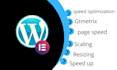 do wordpress speed optimization by  page speed and gtmetrix