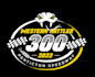 design a professional modern racing car logo