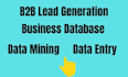 do b2b lead generation business database data entry data collection data mining