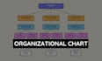 design custom infographic in 24 hours