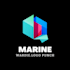 create a stunning  logo for your buissness, company