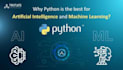 do python programming tasks assignments and projects