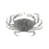 create a pencil illustration of an insect or an animal