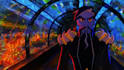 animate for you any action on any given character